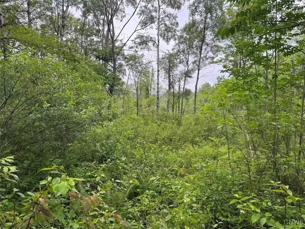 10750 Chapple Stoughton Road, Napoli, New York 147, Napoli, New York 14772, 1 Bedroom Bedrooms, ,Land,Closed,10750 Chapple Stoughton Road, Napoli, New York 147,0,S1626283