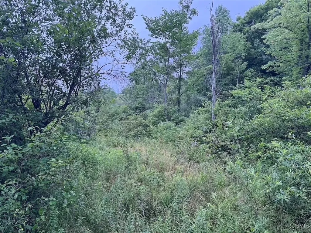 10750 Chapple Stoughton Road, Napoli, New York 147, Napoli, New York 14772, 1 Bedroom Bedrooms, ,Land,Closed,10750 Chapple Stoughton Road, Napoli, New York 147,0,S1626283