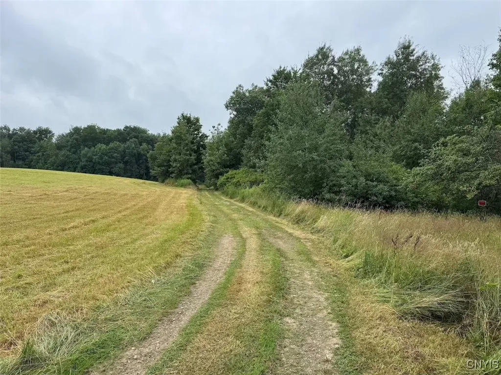 10750 Chapple Stoughton Road, Napoli, New York 147, Napoli, New York 14772, 1 Bedroom Bedrooms, ,Land,Closed,10750 Chapple Stoughton Road, Napoli, New York 147,0,S1626283