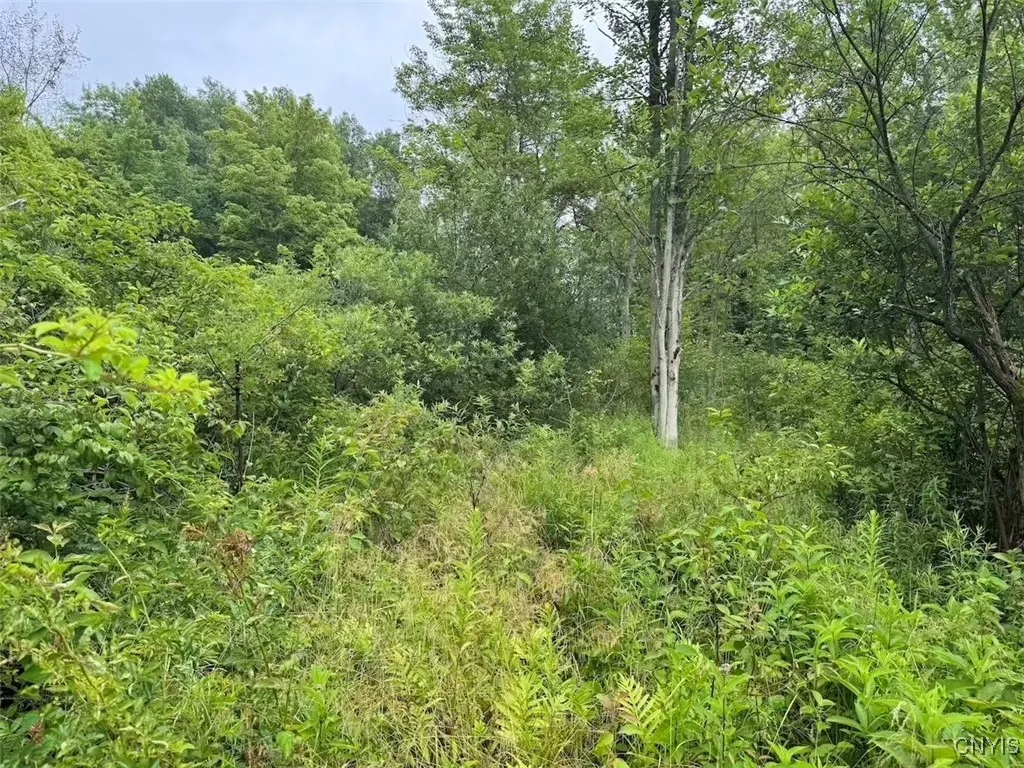 10750 Chapple Stoughton Road, Napoli, New York 147, Napoli, New York 14772, 1 Bedroom Bedrooms, ,Land,Closed,10750 Chapple Stoughton Road, Napoli, New York 147,0,S1626283