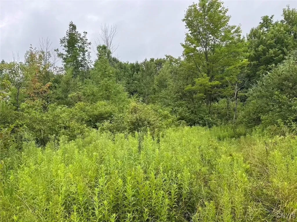 10750 Chapple Stoughton Road, Napoli, New York 147, Napoli, New York 14772, 1 Bedroom Bedrooms, ,Land,Closed,10750 Chapple Stoughton Road, Napoli, New York 147,0,S1626283