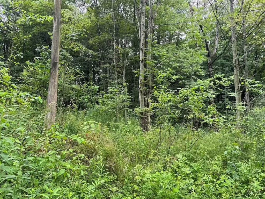 10750 Chapple Stoughton Road, Napoli, New York 147, Napoli, New York 14772, 1 Bedroom Bedrooms, ,Land,Closed,10750 Chapple Stoughton Road, Napoli, New York 147,0,S1626283