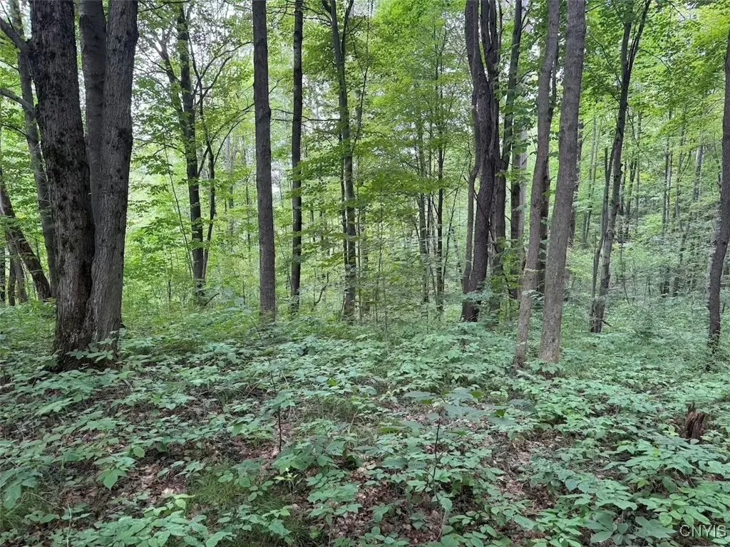 10750 Chapple Stoughton Road, Napoli, New York 147, Napoli, New York 14772, 1 Bedroom Bedrooms, ,Land,Closed,10750 Chapple Stoughton Road, Napoli, New York 147,0,S1626283