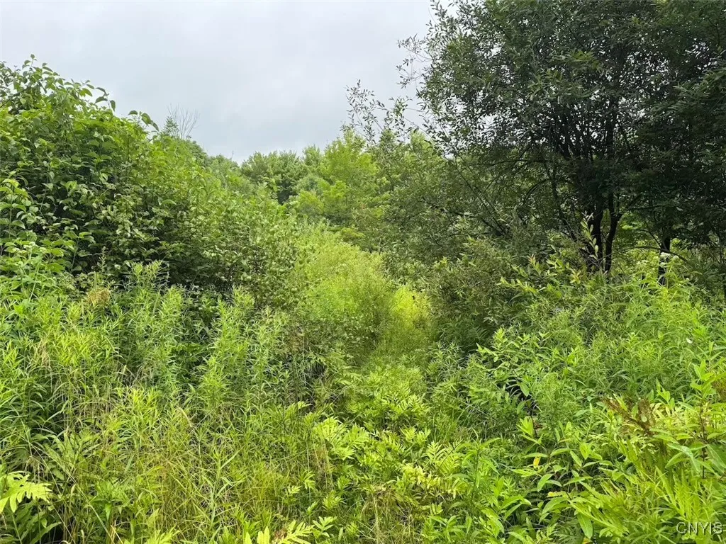 10750 Chapple Stoughton Road, Napoli, New York 147, Napoli, New York 14772, 1 Bedroom Bedrooms, ,Land,Closed,10750 Chapple Stoughton Road, Napoli, New York 147,0,S1626283