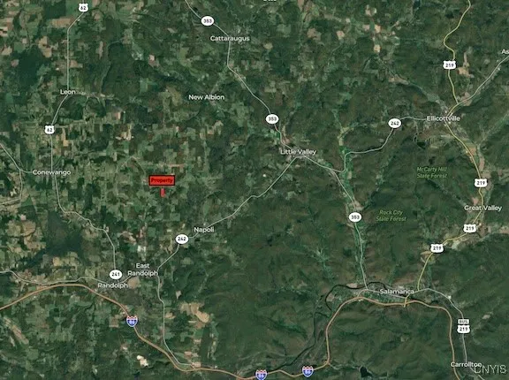 10750 Chapple Stoughton Road, Napoli, New York 147, Napoli, New York 14772, 1 Bedroom Bedrooms, ,Land,Closed,10750 Chapple Stoughton Road, Napoli, New York 147,0,S1626283