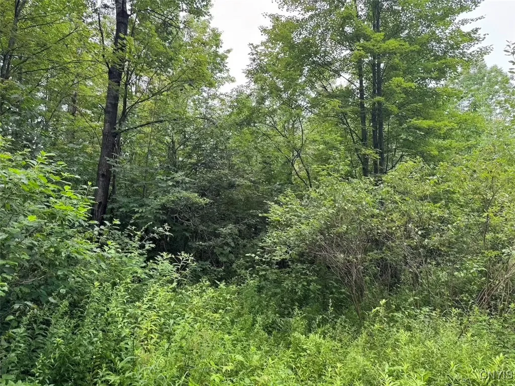 10750 Chapple Stoughton Road, Napoli, New York 147, Napoli, New York 14772, 1 Bedroom Bedrooms, ,Land,Closed,10750 Chapple Stoughton Road, Napoli, New York 147,0,S1626283