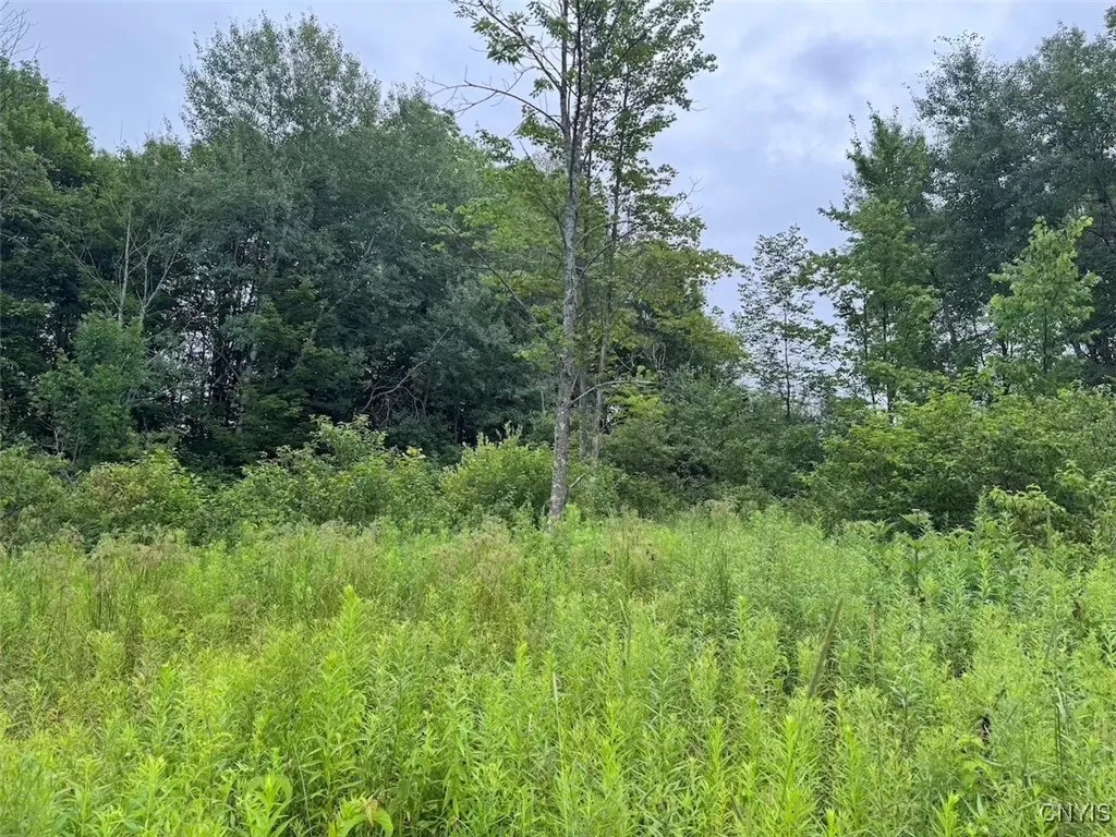 10750 Chapple Stoughton Road, Napoli, New York 147, Napoli, New York 14772, 1 Bedroom Bedrooms, ,Land,Closed,10750 Chapple Stoughton Road, Napoli, New York 147,0,S1626283