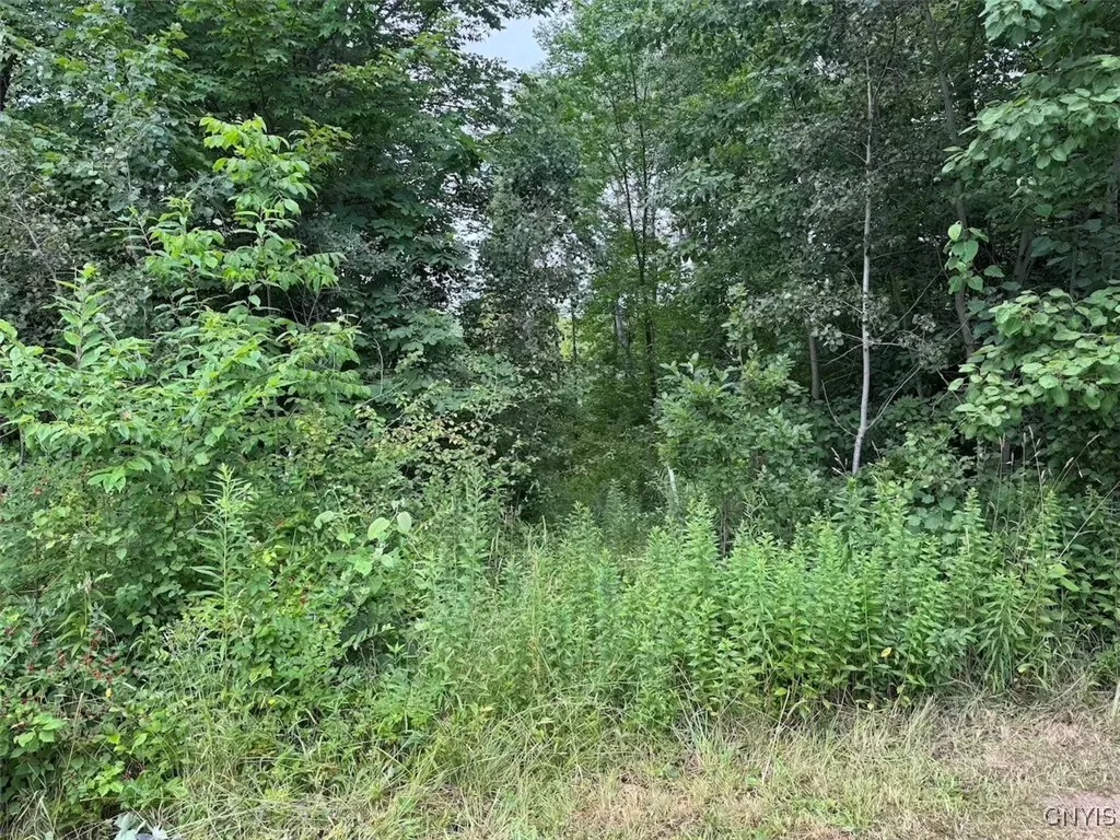 10750 Chapple Stoughton Road, Napoli, New York 147, Napoli, New York 14772, 1 Bedroom Bedrooms, ,Land,Closed,10750 Chapple Stoughton Road, Napoli, New York 147,0,S1626283