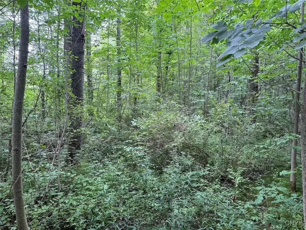 10750 Chapple Stoughton Road, Napoli, New York 147, Napoli, New York 14772, 1 Bedroom Bedrooms, ,Land,Closed,10750 Chapple Stoughton Road, Napoli, New York 147,0,S1626283