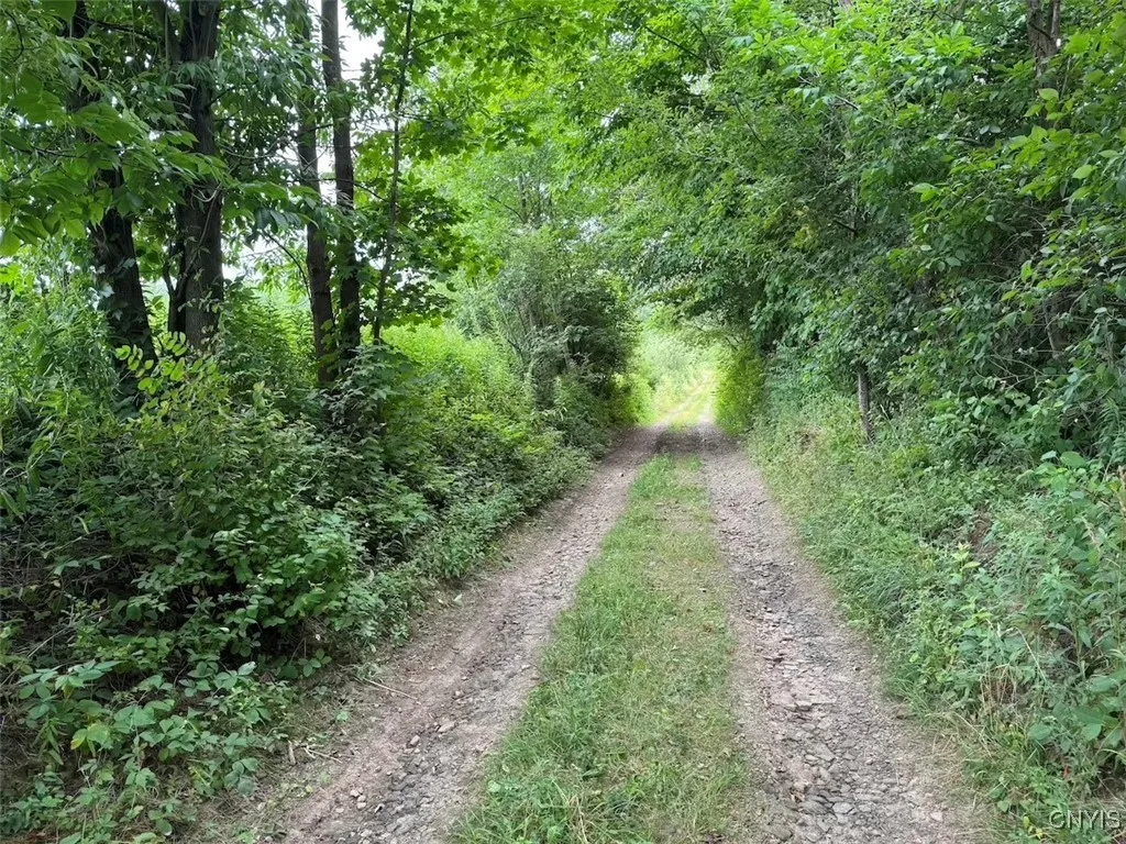 10750 Chapple Stoughton Road, Napoli, New York 147, Napoli, New York 14772, 1 Bedroom Bedrooms, ,Land,Closed,10750 Chapple Stoughton Road, Napoli, New York 147,0,S1626283