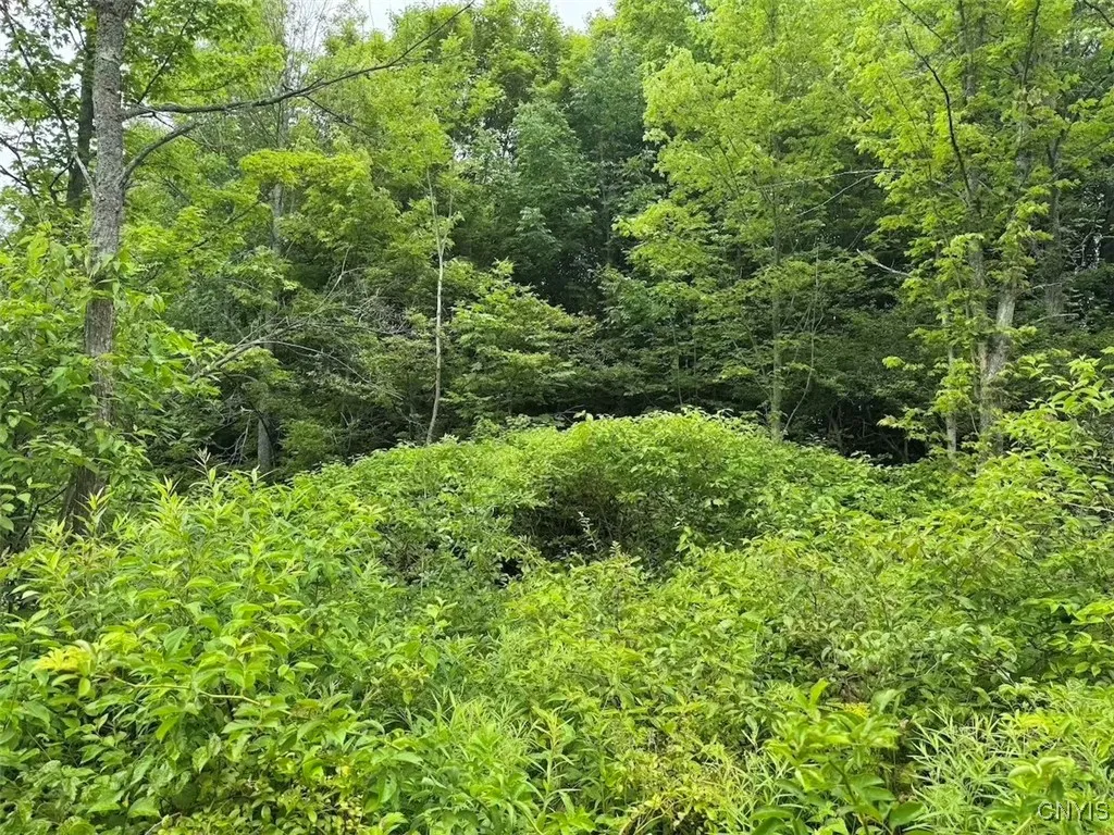 10750 Chapple Stoughton Road, Napoli, New York 147, Napoli, New York 14772, 1 Bedroom Bedrooms, ,Land,Closed,10750 Chapple Stoughton Road, Napoli, New York 147,0,S1626283