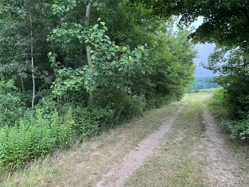 10750 Chapple Stoughton Road, Napoli, New York 147, Napoli, New York 14772, 1 Bedroom Bedrooms, ,Land,Closed,10750 Chapple Stoughton Road, Napoli, New York 147,0,S1626283