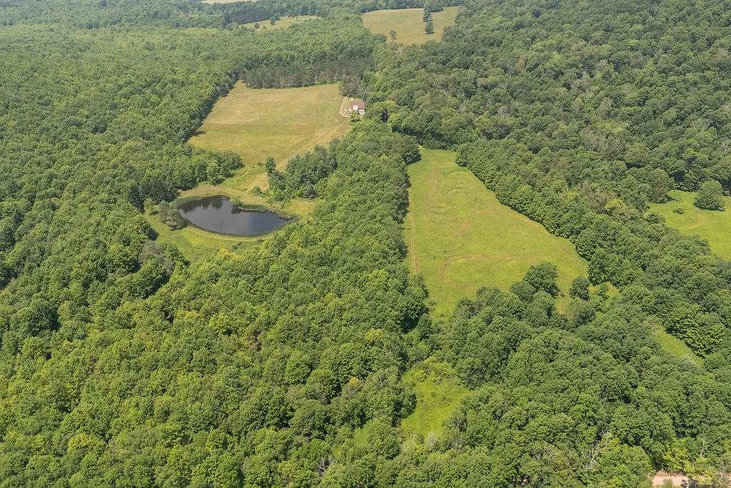1975 Jim Lane Road, Bovina, New York 13740, Bovina, New York 13740, 4 Bedrooms Bedrooms, 7 Rooms Rooms,2 BathroomsBathrooms,Residential,Closed,1975 Jim Lane Road, Bovina, New York 13740,0,R1623927