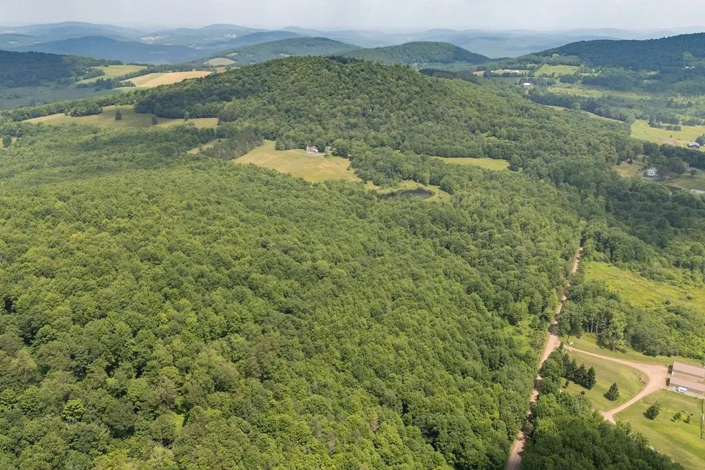 1975 Jim Lane Road, Bovina, New York 13740, Bovina, New York 13740, 4 Bedrooms Bedrooms, 7 Rooms Rooms,2 BathroomsBathrooms,Residential,Closed,1975 Jim Lane Road, Bovina, New York 13740,0,R1623927