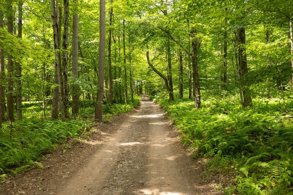1975 Jim Lane Road, Bovina, New York 13740, Bovina, New York 13740, 4 Bedrooms Bedrooms, 7 Rooms Rooms,2 BathroomsBathrooms,Residential,Closed,1975 Jim Lane Road, Bovina, New York 13740,0,R1623927