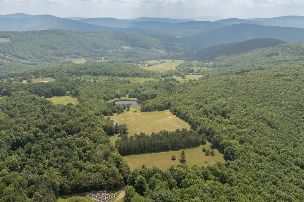 1975 Jim Lane Road, Bovina, New York 13740, Bovina, New York 13740, 4 Bedrooms Bedrooms, 7 Rooms Rooms,2 BathroomsBathrooms,Residential,Closed,1975 Jim Lane Road, Bovina, New York 13740,0,R1623927