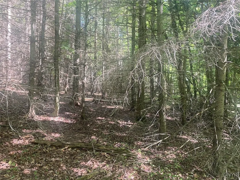 Eisaman Road, Grove, New York 14884, Grove, New York 14884, 3 Bedrooms Bedrooms, ,1 BathroomBathrooms,Land,Closed,Eisaman Road, Grove, New York 14884,0,S1626339