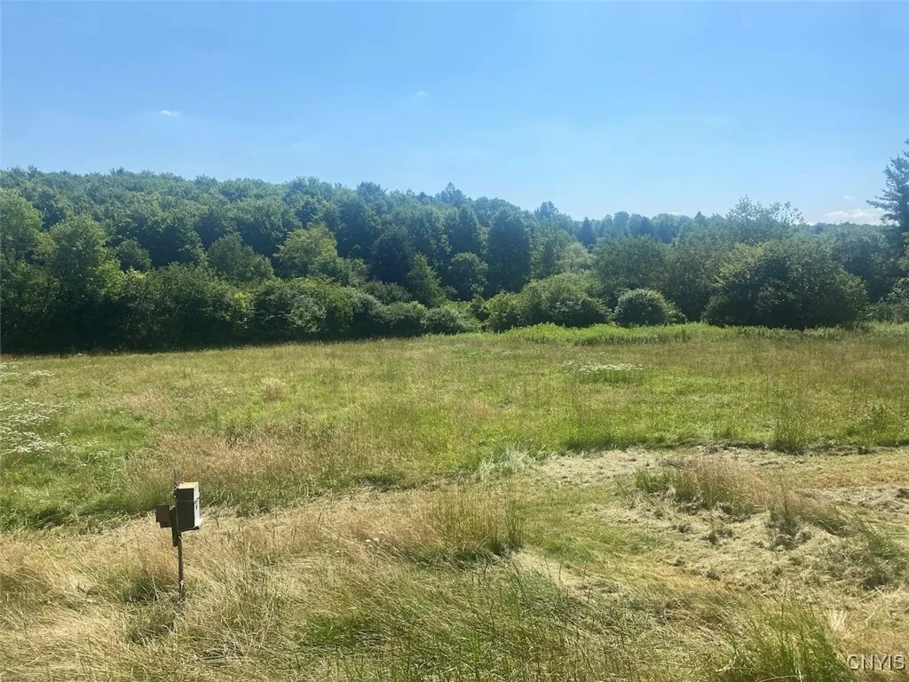 Eisaman Road, Grove, New York 14884, Grove, New York 14884, 3 Bedrooms Bedrooms, ,1 BathroomBathrooms,Land,Closed,Eisaman Road, Grove, New York 14884,0,S1626339