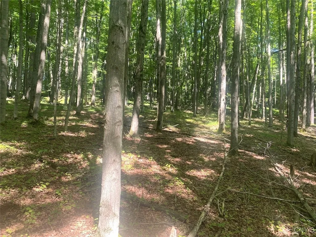 Eisaman Road, Grove, New York 14884, Grove, New York 14884, 3 Bedrooms Bedrooms, ,1 BathroomBathrooms,Land,Closed,Eisaman Road, Grove, New York 14884,0,S1626339