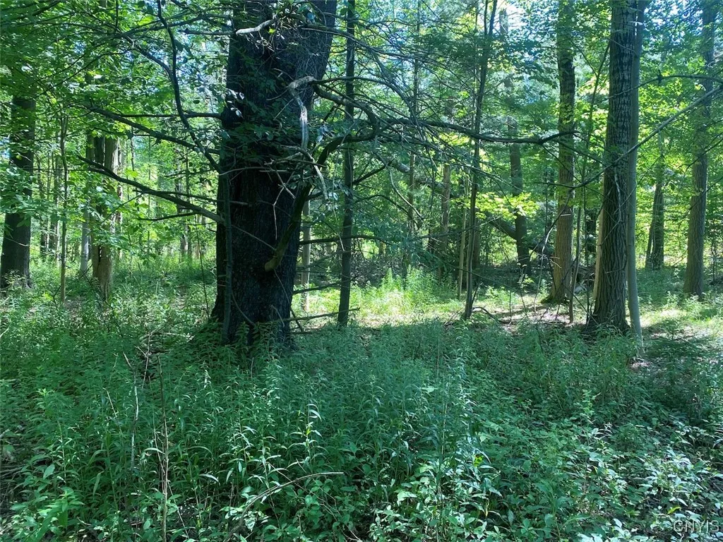 Eisaman Road, Grove, New York 14884, Grove, New York 14884, 3 Bedrooms Bedrooms, ,1 BathroomBathrooms,Land,Closed,Eisaman Road, Grove, New York 14884,0,S1626339