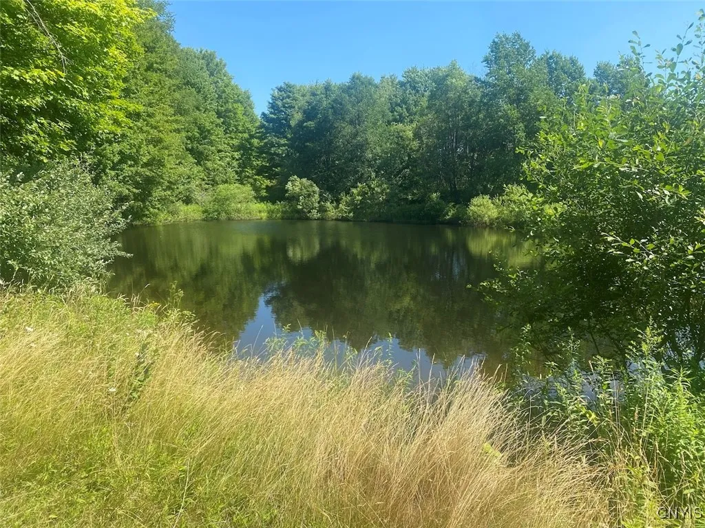 Eisaman Road, Grove, New York 14884, Grove, New York 14884, 3 Bedrooms Bedrooms, ,1 BathroomBathrooms,Land,Closed,Eisaman Road, Grove, New York 14884,0,S1626339