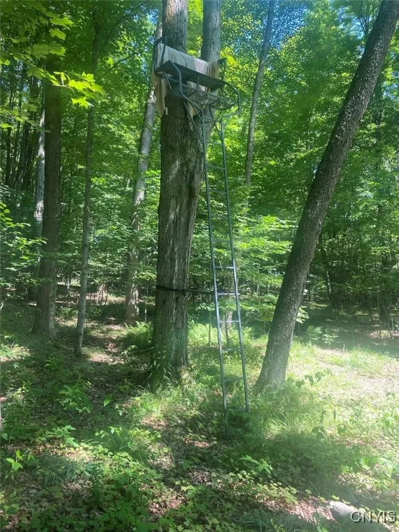 Eisaman Road, Grove, New York 14884, Grove, New York 14884, 3 Bedrooms Bedrooms, ,1 BathroomBathrooms,Land,Closed,Eisaman Road, Grove, New York 14884,0,S1626339