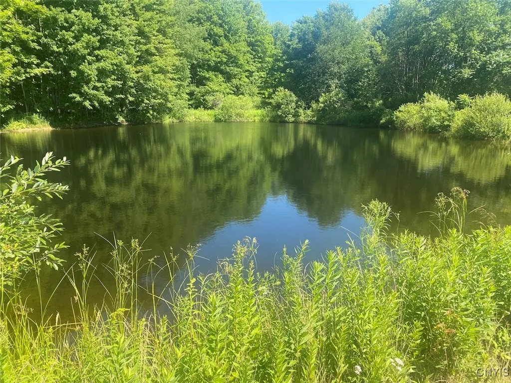 Eisaman Road, Grove, New York 14884, Grove, New York 14884, 3 Bedrooms Bedrooms, ,1 BathroomBathrooms,Land,Closed,Eisaman Road, Grove, New York 14884,0,S1626339