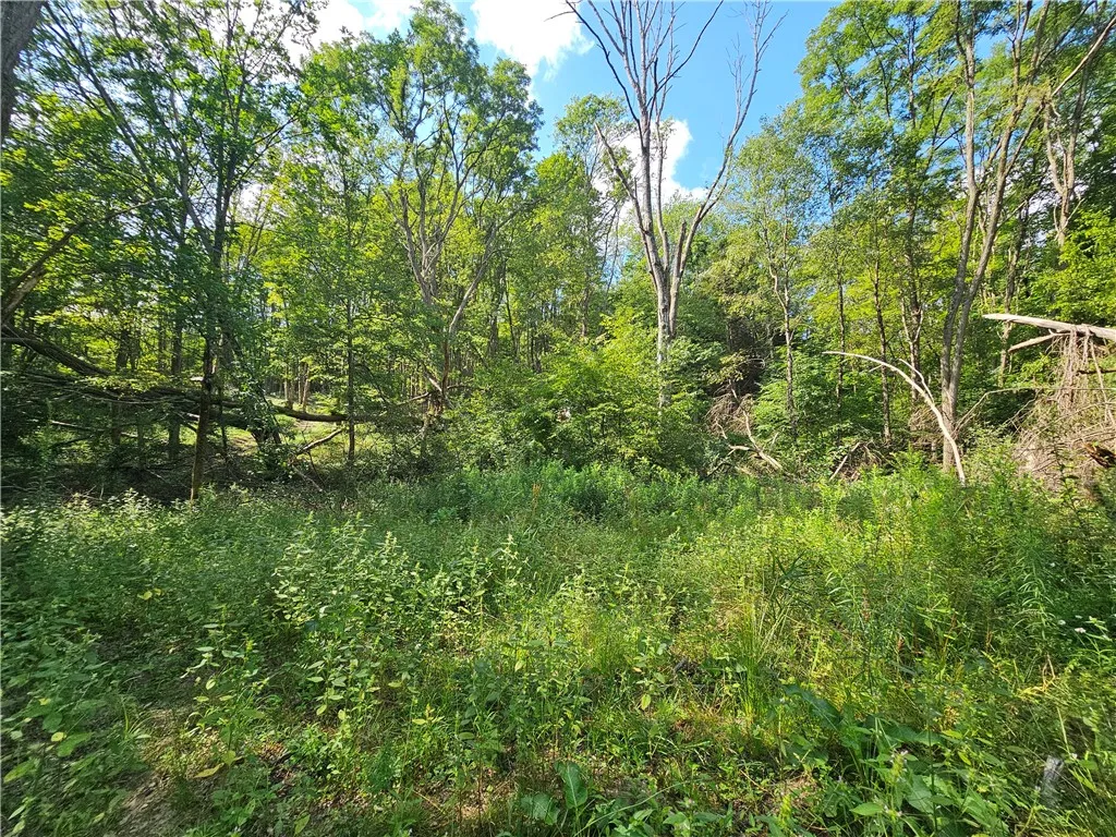1310 County Road 16, Orange, New York 14812, Orange, New York 14812, ,Land,Closed,1310 County Road 16, Orange, New York 14812,0,R1625902