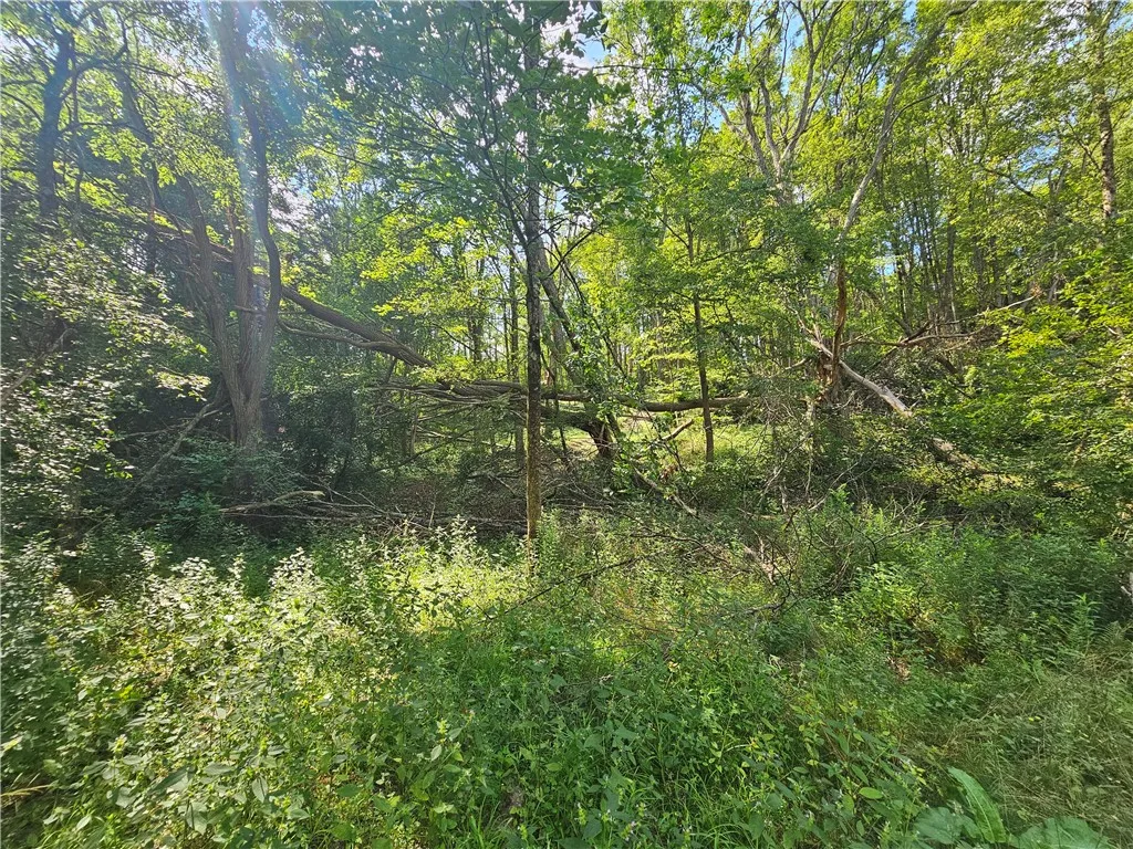 1310 County Road 16, Orange, New York 14812, Orange, New York 14812, ,Land,Closed,1310 County Road 16, Orange, New York 14812,0,R1625902