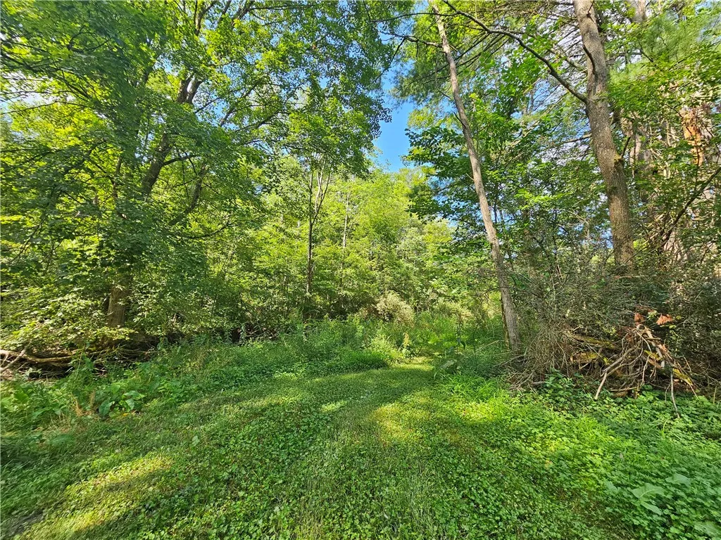 1310 County Road 16, Orange, New York 14812, Orange, New York 14812, ,Land,Closed,1310 County Road 16, Orange, New York 14812,0,R1625902