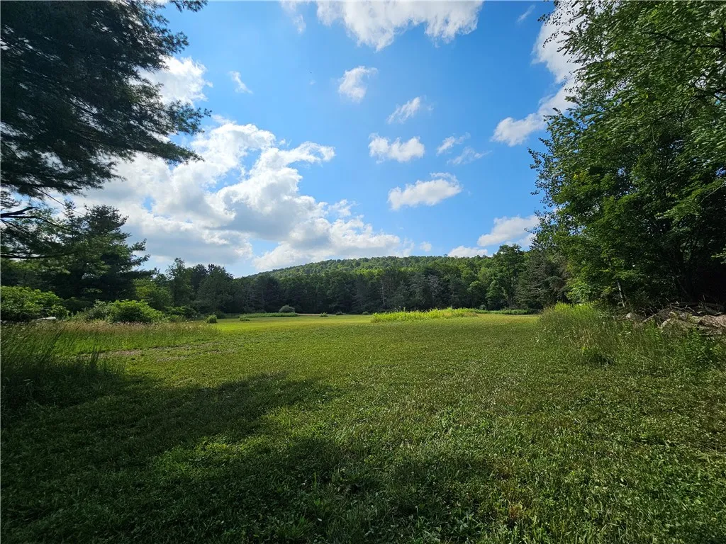 1310 County Road 16, Orange, New York 14812, Orange, New York 14812, ,Land,Closed,1310 County Road 16, Orange, New York 14812,0,R1625902