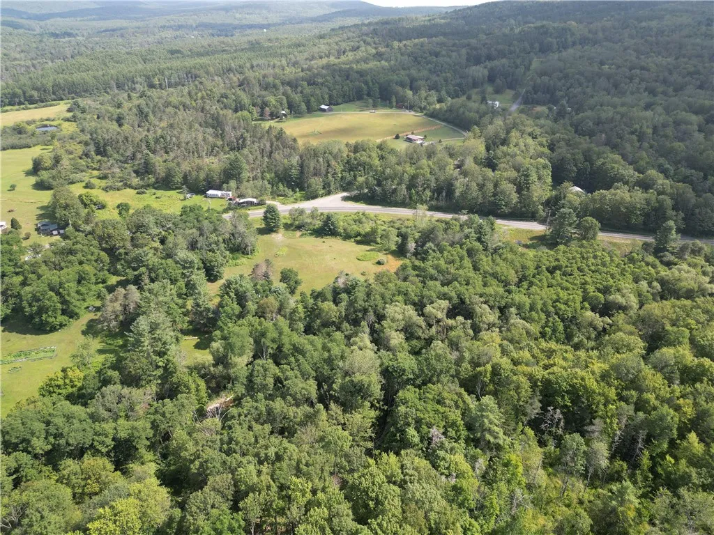 1310 County Road 16, Orange, New York 14812, Orange, New York 14812, ,Land,Closed,1310 County Road 16, Orange, New York 14812,0,R1625902