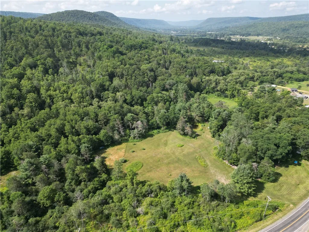 1310 County Road 16, Orange, New York 14812, Orange, New York 14812, ,Land,Closed,1310 County Road 16, Orange, New York 14812,0,R1625902