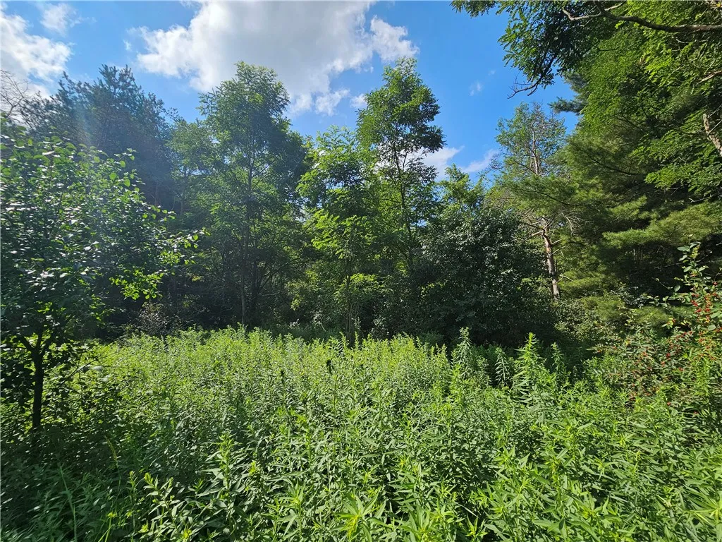 1310 County Road 16, Orange, New York 14812, Orange, New York 14812, ,Land,Closed,1310 County Road 16, Orange, New York 14812,0,R1625902