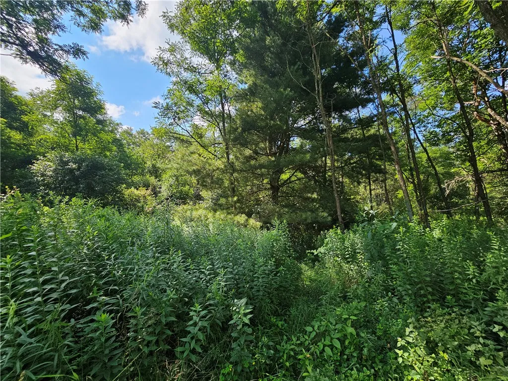 1310 County Road 16, Orange, New York 14812, Orange, New York 14812, ,Land,Closed,1310 County Road 16, Orange, New York 14812,0,R1625902