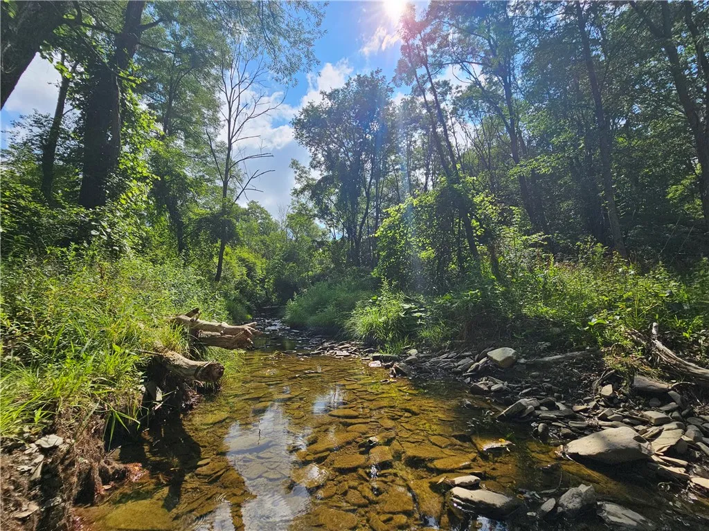 1310 County Road 16, Orange, New York 14812, Orange, New York 14812, ,Land,Closed,1310 County Road 16, Orange, New York 14812,0,R1625902