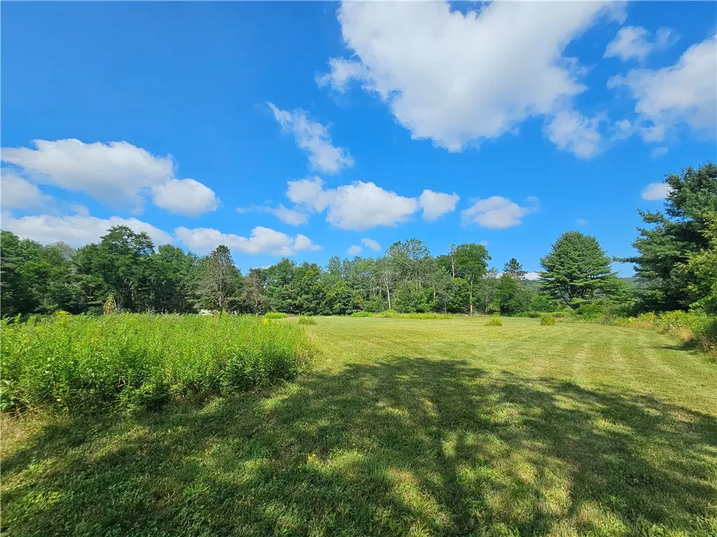 1310 County Road 16, Orange, New York 14812, Orange, New York 14812, ,Land,Closed,1310 County Road 16, Orange, New York 14812,0,R1625902