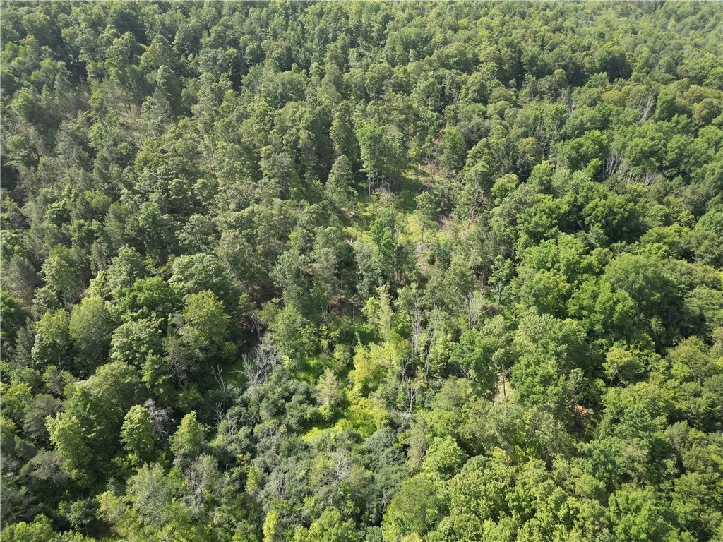 1310 County Road 16, Orange, New York 14812, Orange, New York 14812, ,Land,Closed,1310 County Road 16, Orange, New York 14812,0,R1625902