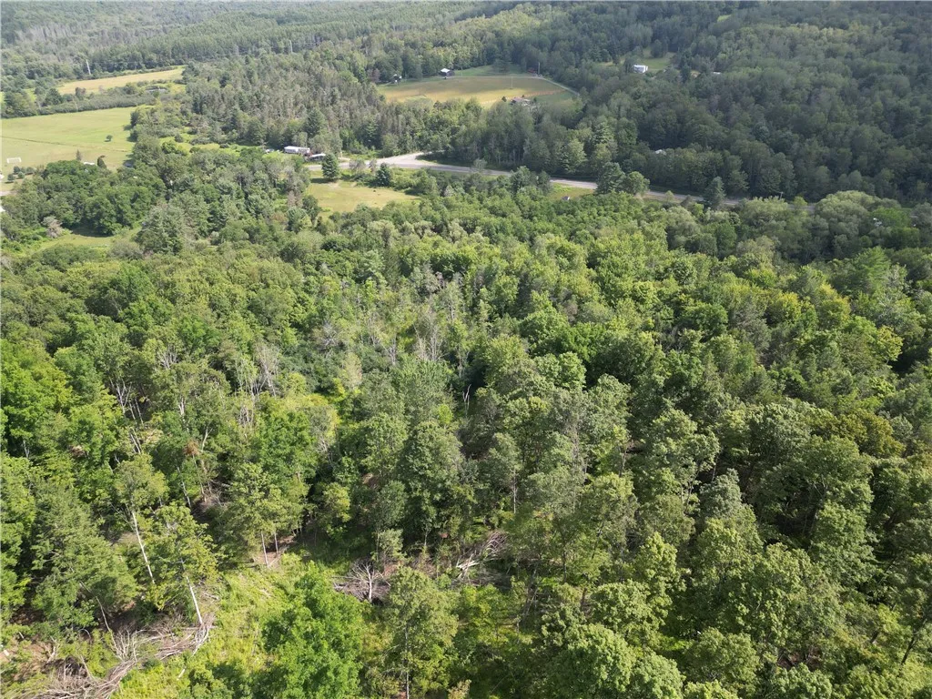 1310 County Road 16, Orange, New York 14812, Orange, New York 14812, ,Land,Closed,1310 County Road 16, Orange, New York 14812,0,R1625902