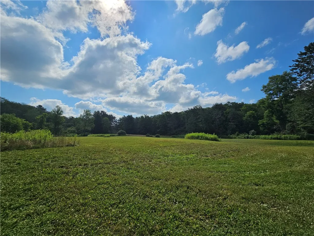 1310 County Road 16, Orange, New York 14812, Orange, New York 14812, ,Land,Closed,1310 County Road 16, Orange, New York 14812,0,R1625902