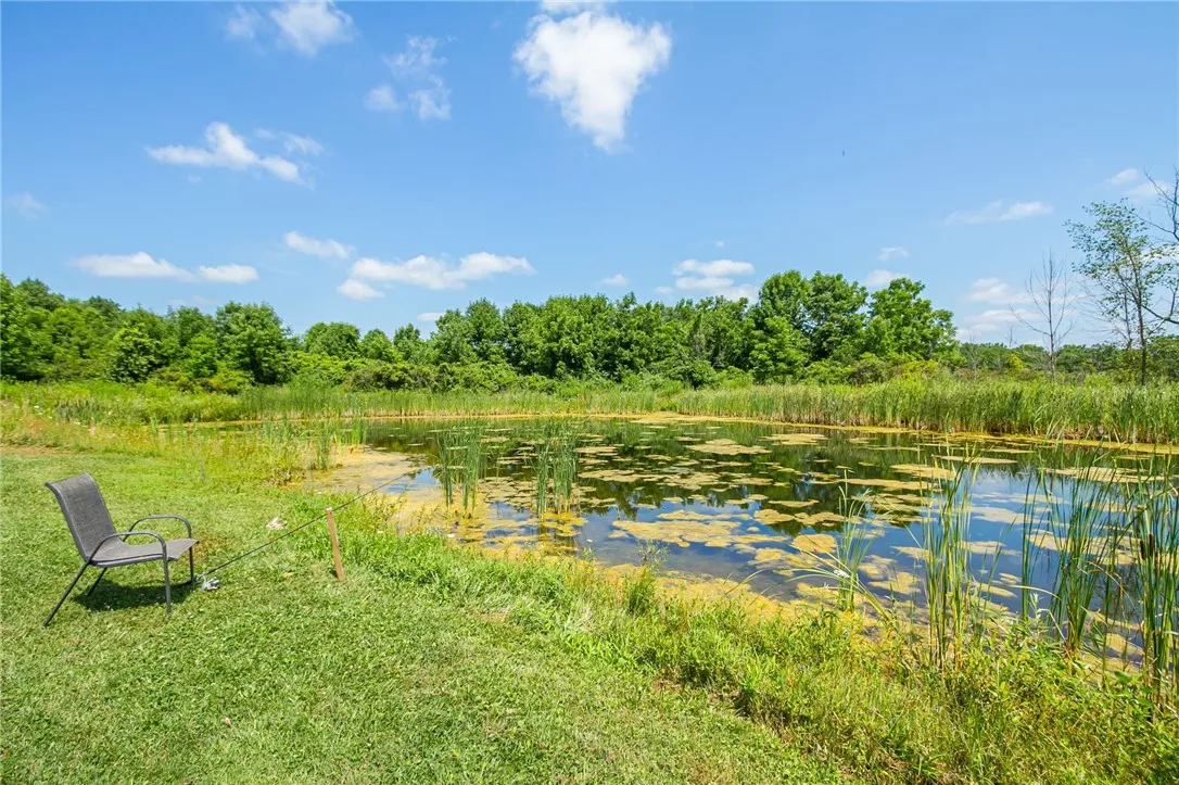 8632 State Route 5 And 20, West Bloomfield, New Yo, West Bloomfield, New York 14469, 3 Bedrooms Bedrooms, 8 Rooms Rooms,1 BathroomBathrooms,Residential,Closed,8632 State Route 5 And 20, West Bloomfield, New Yo,0,R1625961