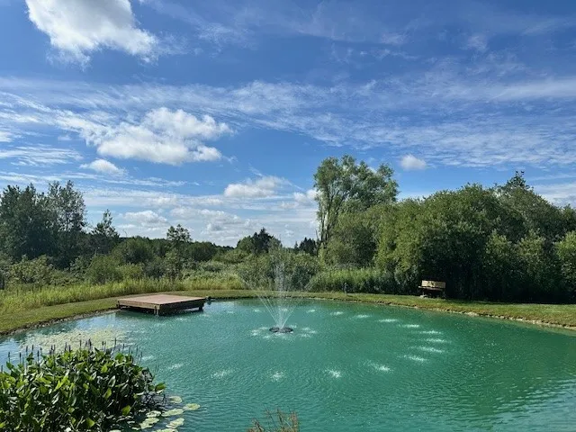 Pond with a water feature!
