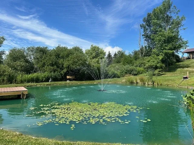 Dock is permanent too