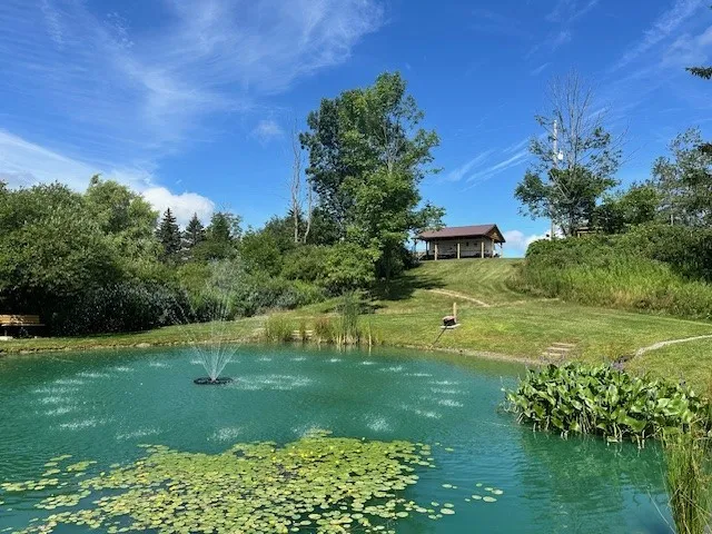 WHY wouldnt you WANT this ???