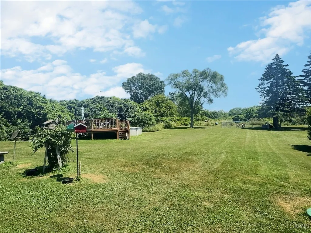 Huge back yard!