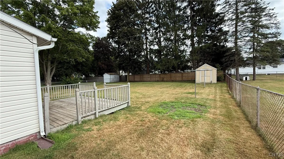 Fenced In Backyard