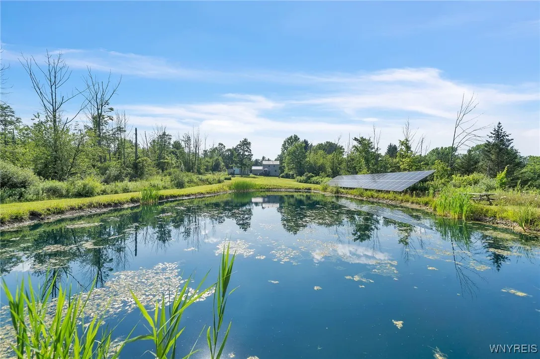 Stocked Pond dug 2023