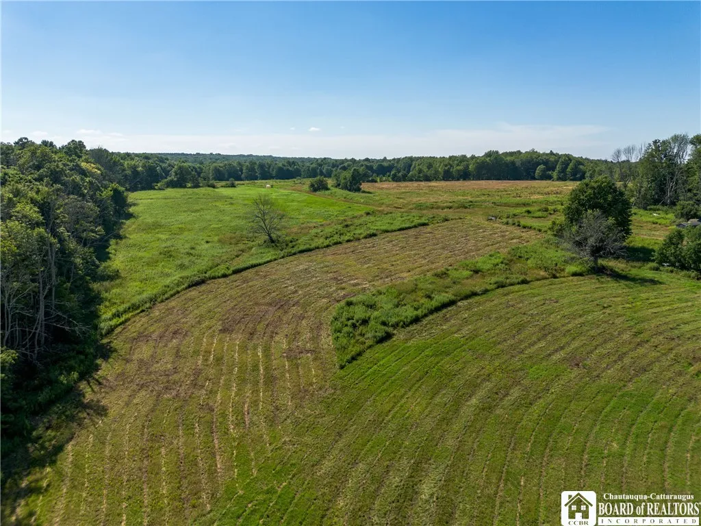 265 Big Tree Sugar Grove Road, Busti, New York 147, Busti, New York 14701, 4 Bedrooms Bedrooms, 9 Rooms Rooms,2 BathroomsBathrooms,Residential,Closed,265 Big Tree Sugar Grove Road, Busti, New York 147,0,R1625957