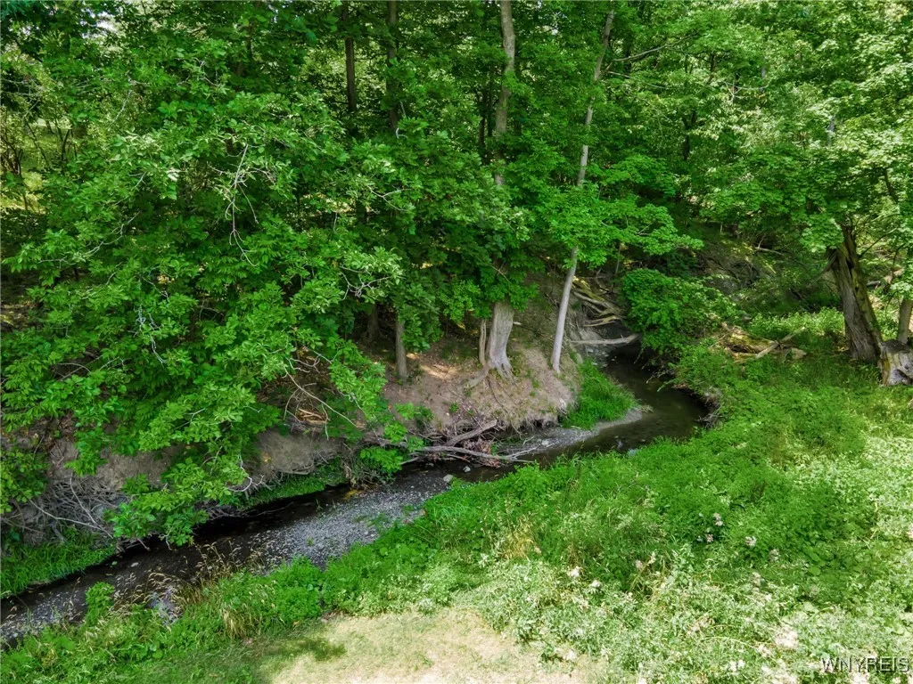 Creek all the way in the back!!