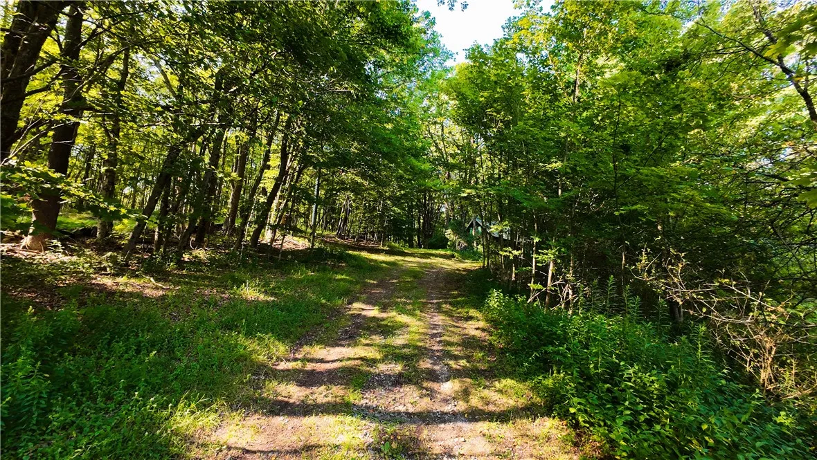 1455 County Road 10, Preston, New York 13815, Preston, New York 13815, 3 Bedrooms Bedrooms, 5 Rooms Rooms,1 BathroomBathrooms,Residential,Closed,1455 County Road 10, Preston, New York 13815,0,R1625061